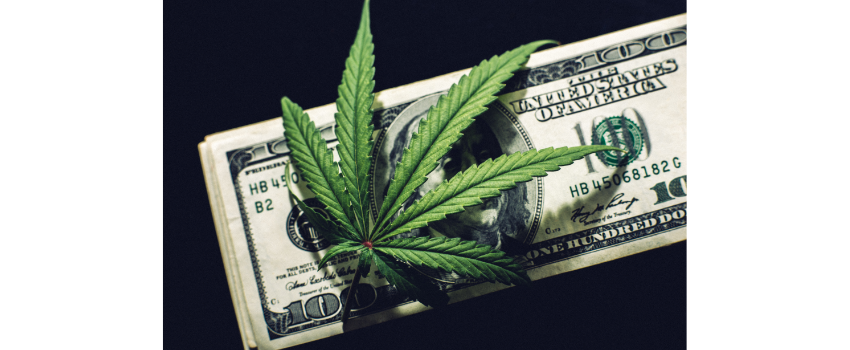 one cannabis leaf on top of a 100 dollar bill