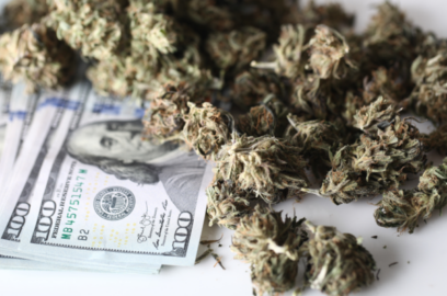 marijuana next to 100 dollar bills