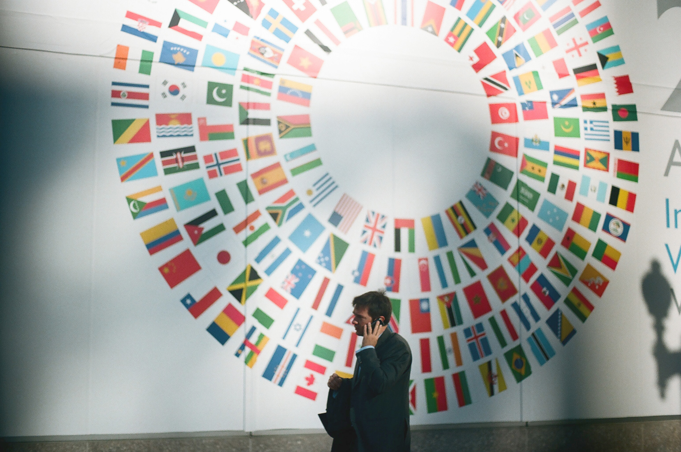 an accountant standing in front of international flags on a mural
