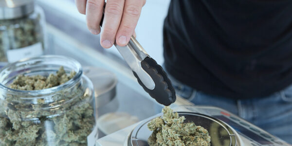 cannabis being weighed at a dispensary
