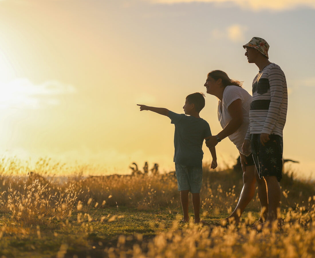 a family looking over a field with their sun pointing into the distance
