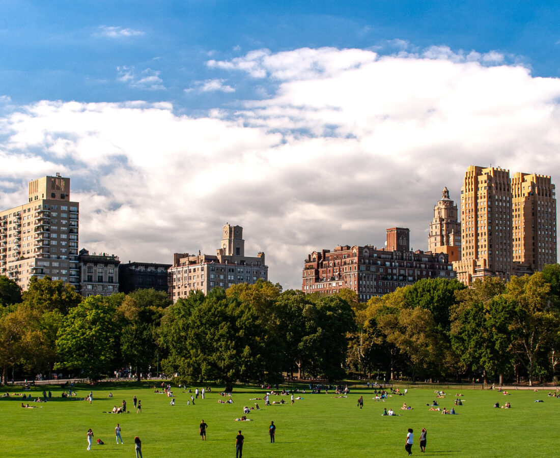 people in a park with a large building in the background