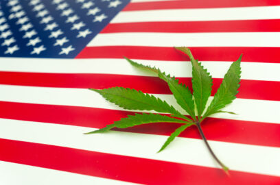 Green hemp leaf on American flag