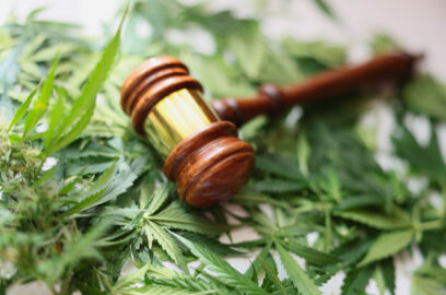 Gavel of judge lying on green leaves of marijuana closeup