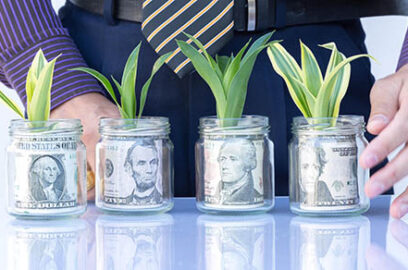 Growing,Plant,Step,With,Coin,Money,start,Your,Investment,On,Today