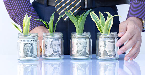 Growing,Plant,Step,With,Coin,Money,start,Your,Investment,On,Today