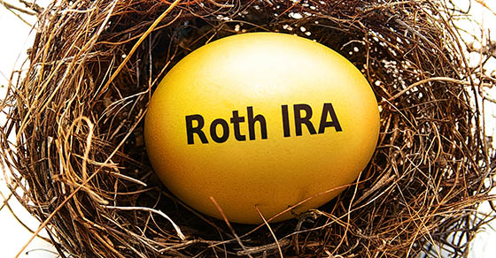 Gold,Roth,Ira,Egg,In,A,Bird's,Nest,,On,White
