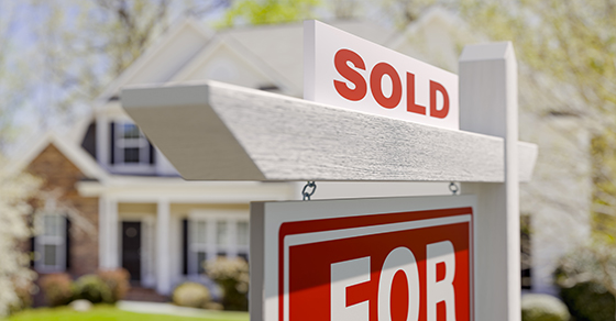 House, For Sale, Sign, sold, on curb, in front of house