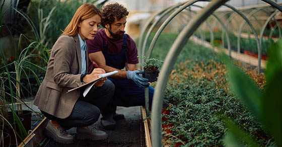 Businesswoman taking notes while examining quality of potted plants with a greenhouse worker.